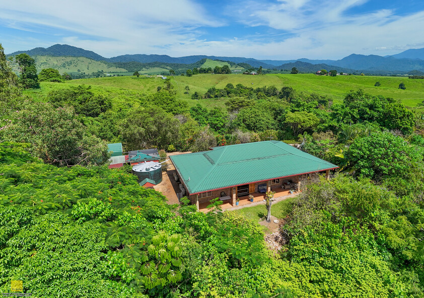 Denise – FNQ